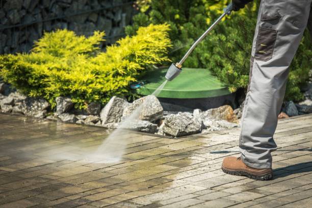 Best Driveway Pressure Washing  in East Hills, NY