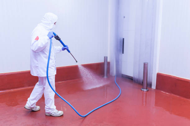 Best Solar Panel Cleaning  in East Hills, NY